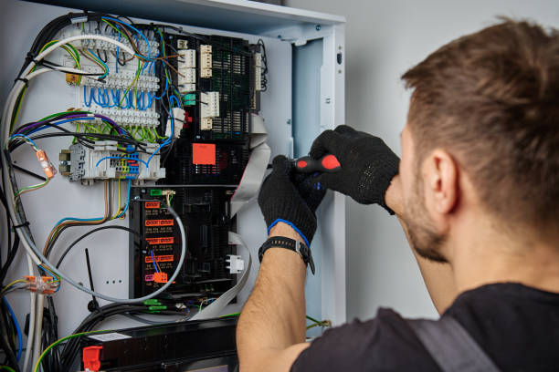 Licensed Electrical Panel Upgrade service in Stony Point, MI - No Joke electrician